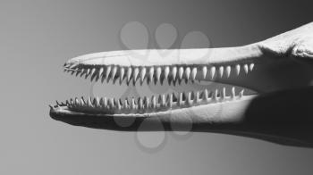 Jaws with sharp teeth in black and white