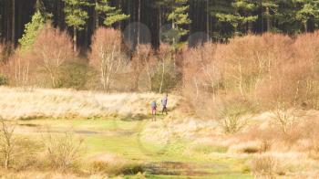 Forrest path with hikers, winter day in Holland