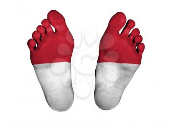 Feet with flag, sleeping or death concept, flag of Monaco