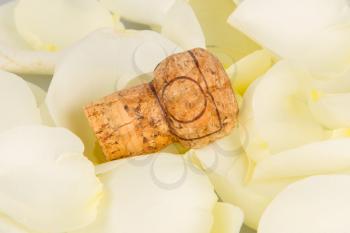 Cork from champagne isolated with rose leaves