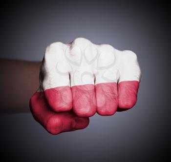 Front view of punching fist on gray background, flag of Poland