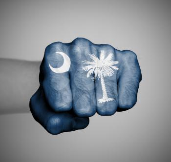 United states, fist with the flag of a state, South Carolina
