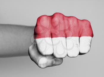 Fist of a man punching, flag of Monaco
