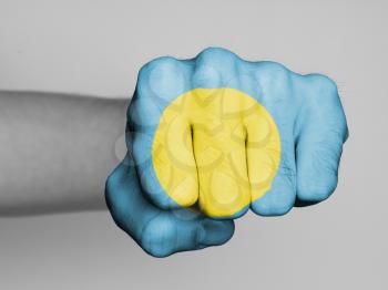 Fist of a man punching, flag of Palau