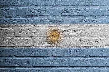 Brick wall with a painting of a flag isolated, Argentina