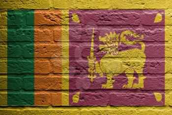 Brick wall with a painting of a flag isolated, Sri Lanka