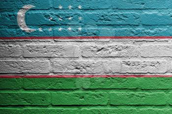 Brick wall with a painting of a flag isolated, Uzbekistan