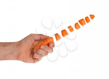 Carrot isolated on a white background, floating
