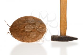 Coconut and a hammer isolated on white