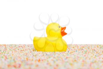 Rubber duck isolated, sitting on colorful candy
