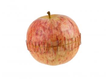 Sliced apple halves joined by brass staples