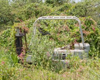 Abandoned lifting truck standing in the bushes