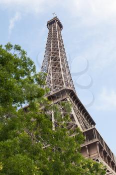 View on the Eiffel tower from a park in Paris