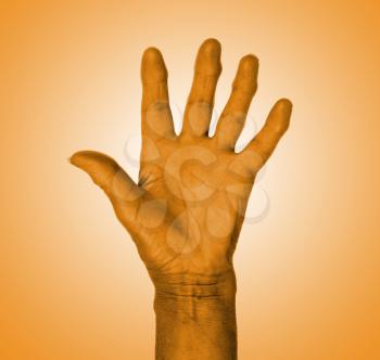 Hand symbol, saying five, saying hello or saying stop, orange