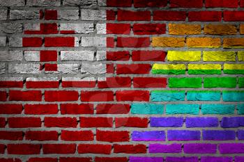 Dark brick wall texture - coutry flag and rainbow flag painted on wall - Tonga