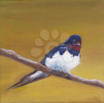 Painting, adult swallow sitting on a branch