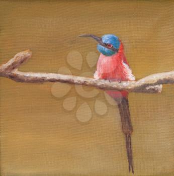Painting of carmine bee eater, square image