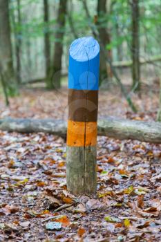 Painted marking at a walking path in the dutch forrest