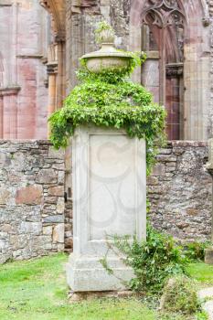 Very old gravestone with green leaves, cemetery in Scotland