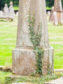 Very old gravestone with green leaves, cemetery in Scotland