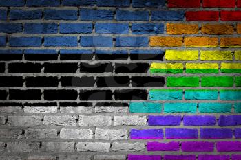 Dark brick wall texture - coutry flag and rainbow flag painted on wall - Estonia