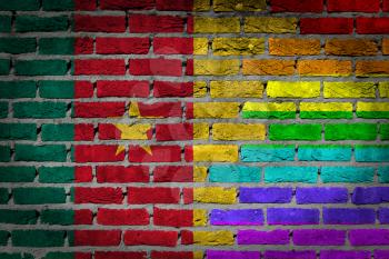 Dark brick wall texture - coutry flag and rainbow flag painted on wall - Cameroon