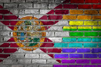 Dark brick wall texture - coutry flag and rainbow flag painted on wall - Florida