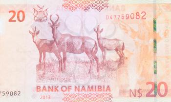 Twenty Namibian Dollars, part of a complete banknote