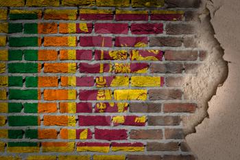 Dark brick wall texture with plaster - flag painted on wall - Sri Lanka