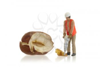 Miniature worker working with hazelnuts - Concept of food processing