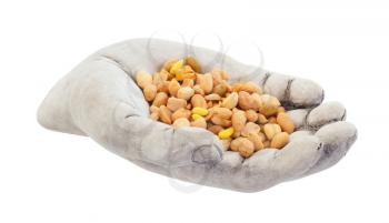 Fresh mixed salted nuts in a bowl (hand), peanut mix, isolated on white