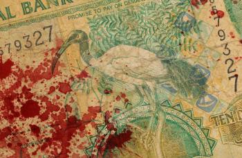 10 Gambian dalasi bank note, isolated, bloody