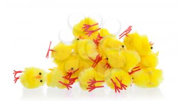 Abundance of easter chicks, selective focus, isolated