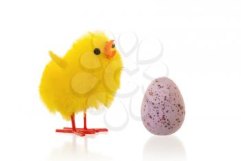 Single easter chick with a chocolate egg, isolated
