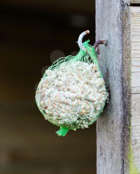 Tallow bird food hanging in a garden, selective focus