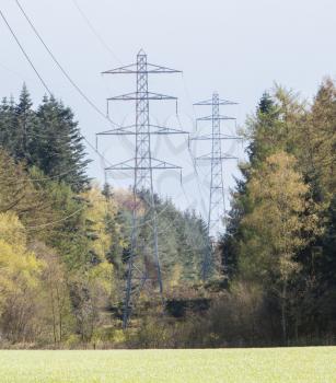 Large electric pylons splitting the dutch forrest