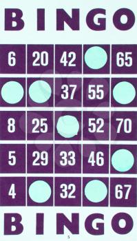 Purple bingo card being used (white chips)