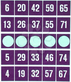 Purple bingo card being used (white chips)