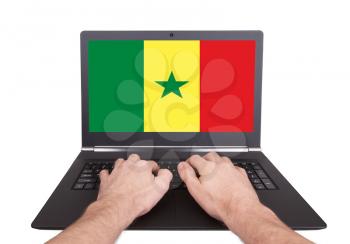 Hands working on laptop showing on the screen the flag of Senegal