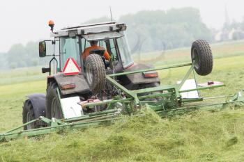 Farmer uses tractor to spread hay on the field where it will dry