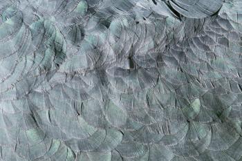 Extreme close-up of feathers of an marabu, background image