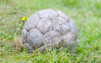Old football isolated, used by a dog