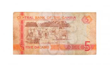 5 Gambian dalasi bank note, isolated on white