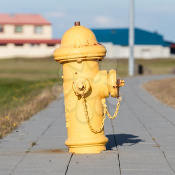 Yellow fire hydrant on a city sidewalk, Iceland