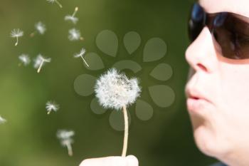 Young woman blowing to the dandelion, green grass as a background, selective focus
