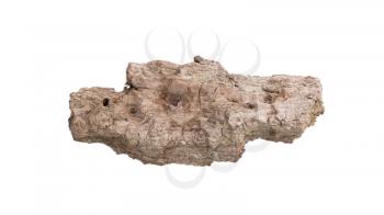 Tree bark isolated on a white background