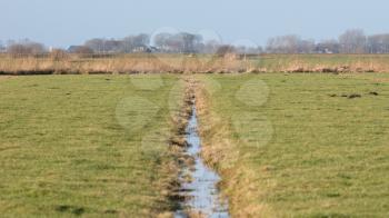 Ditch and meadows in waterland Friesland , the Netherlands, selective focus
