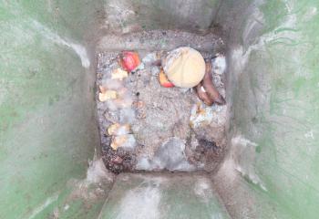 Decaying fruit in a dustbin, molded fruit