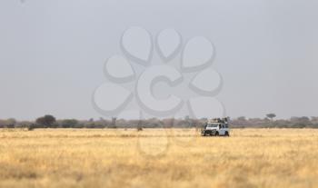 4x4 Vehicle in the Kalahari desert, Botswana