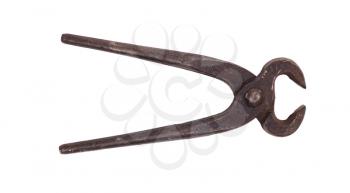 Metal nippers isolated on a white background